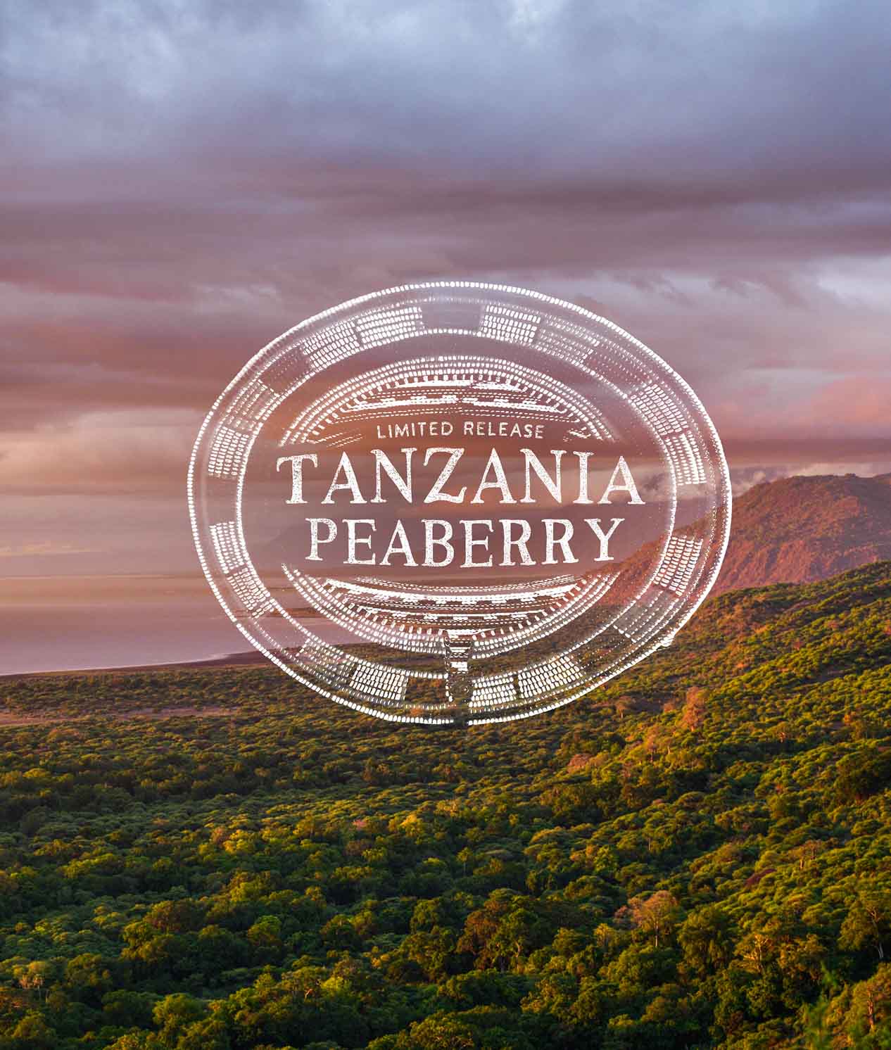 Scenic landscape with 'Tanzania Peaberry' coffee label overlay